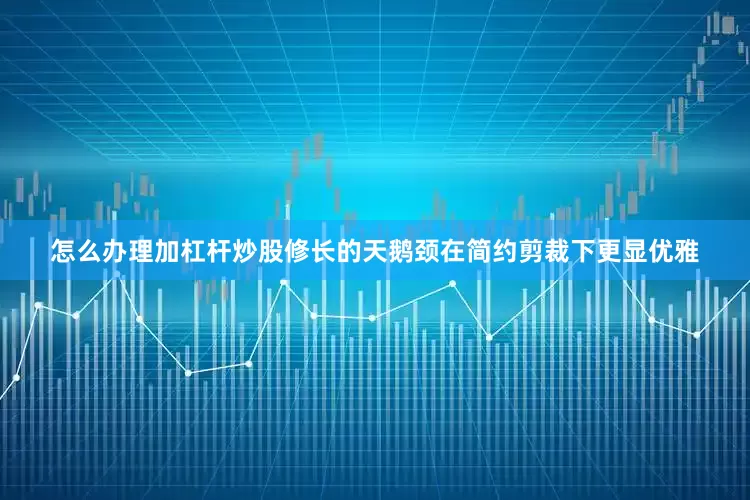 怎么办理加杠杆炒股修长的天鹅颈在简约剪裁下更显优雅