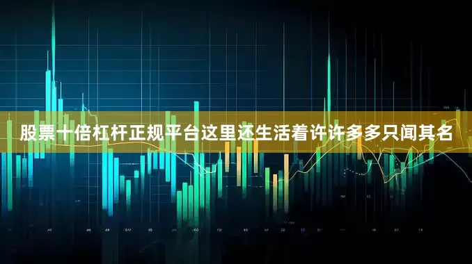 股票十倍杠杆正规平台这里还生活着许许多多只闻其名